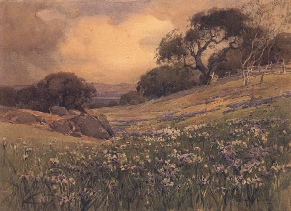  Landscape with Field of Iris